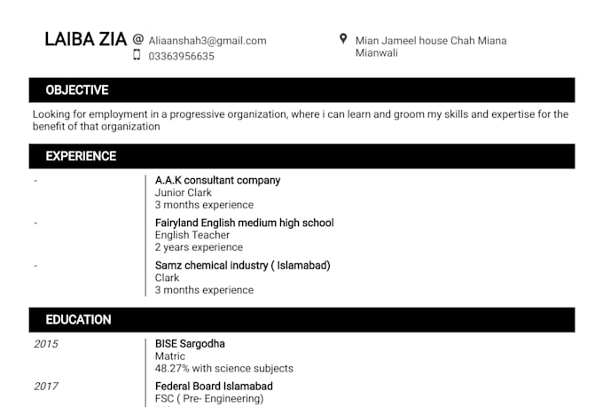 create a professional resume cv using ms word
